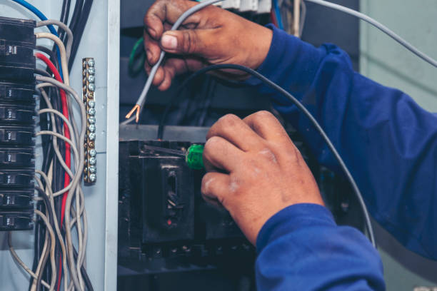 Best Electric Panel Repair  in Norlina, NC